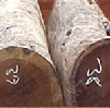 TIMBERS vacuum drying 