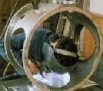 SCANWEL custom fabrications and chambers for clean and uhv applications